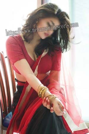 Ludhiana escort service